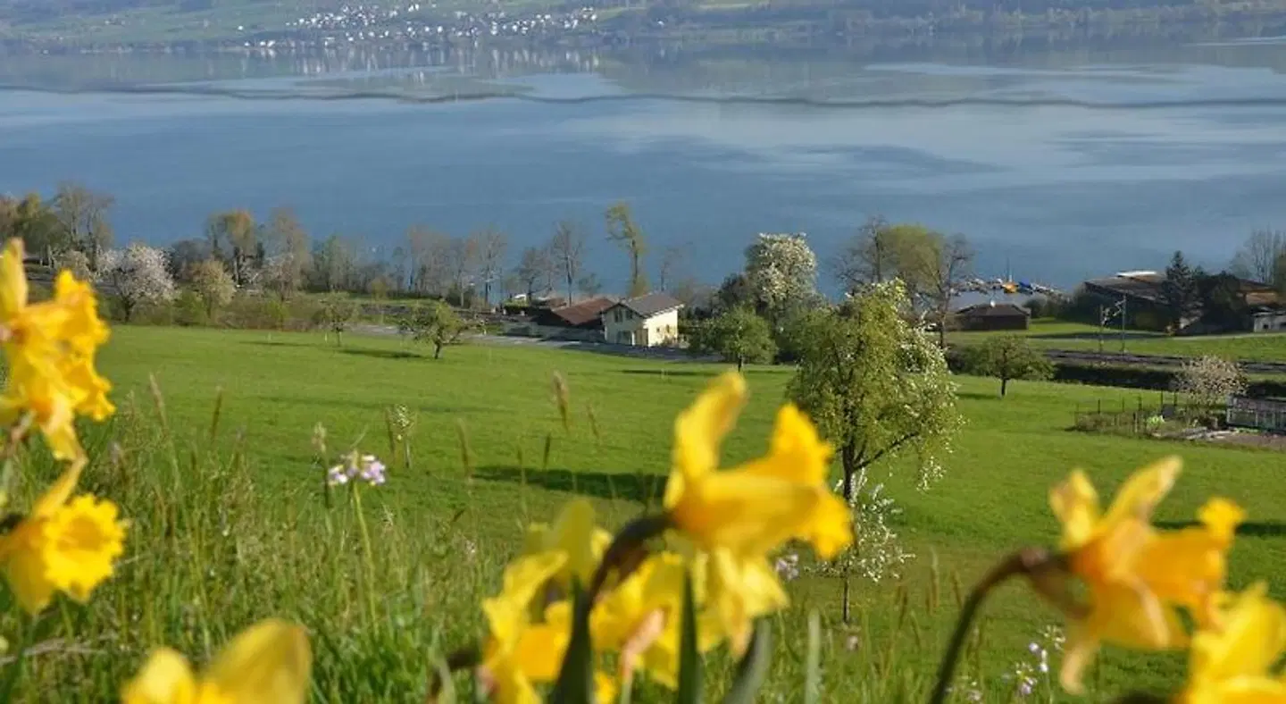 B&B Friedau LANDSCAPE