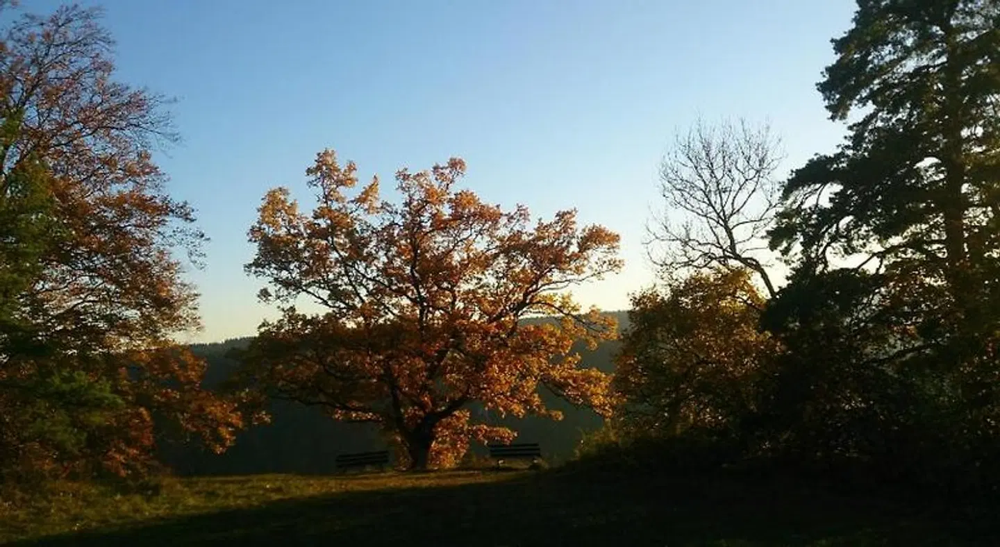 Berghaus Knopfmacher LANDSCAPE
