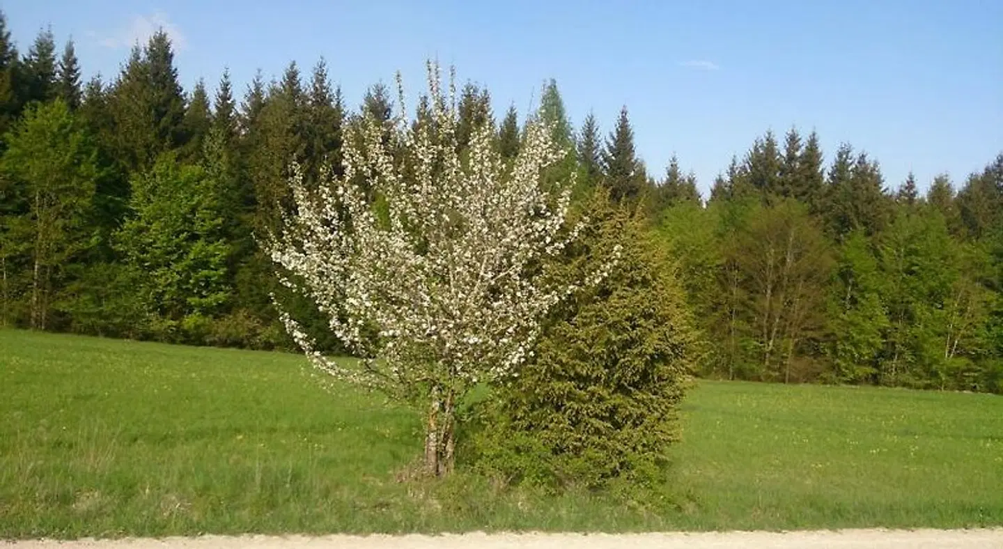 Berghaus Knopfmacher LANDSCAPE