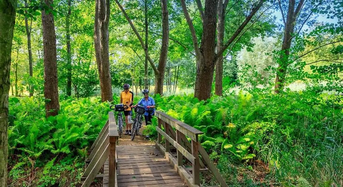 Parkpension Burg im Spreewald Garten