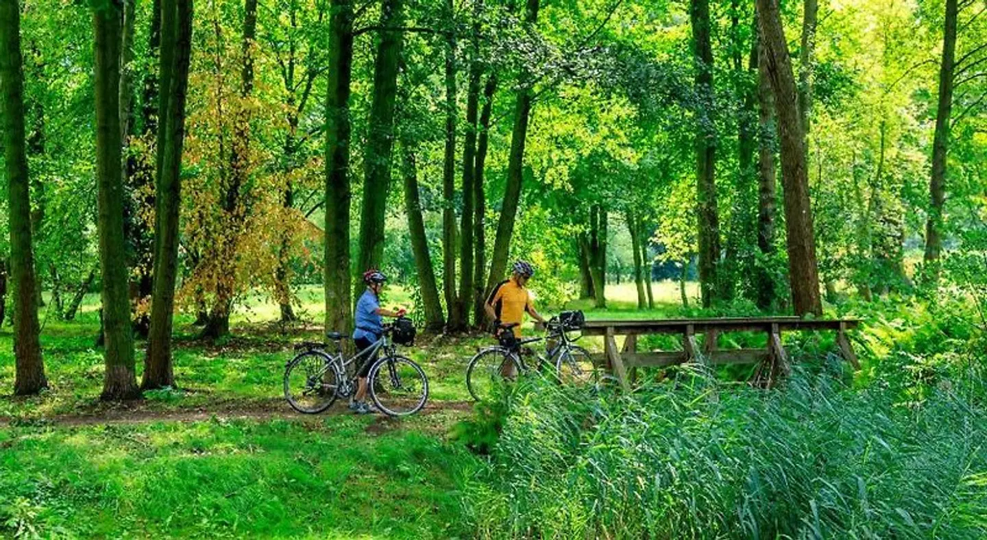 Parkpension Burg im Spreewald Garten
