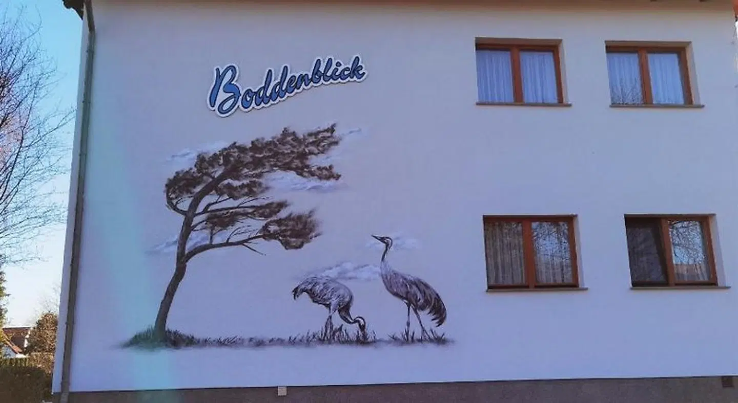 Boddenblick Tiere