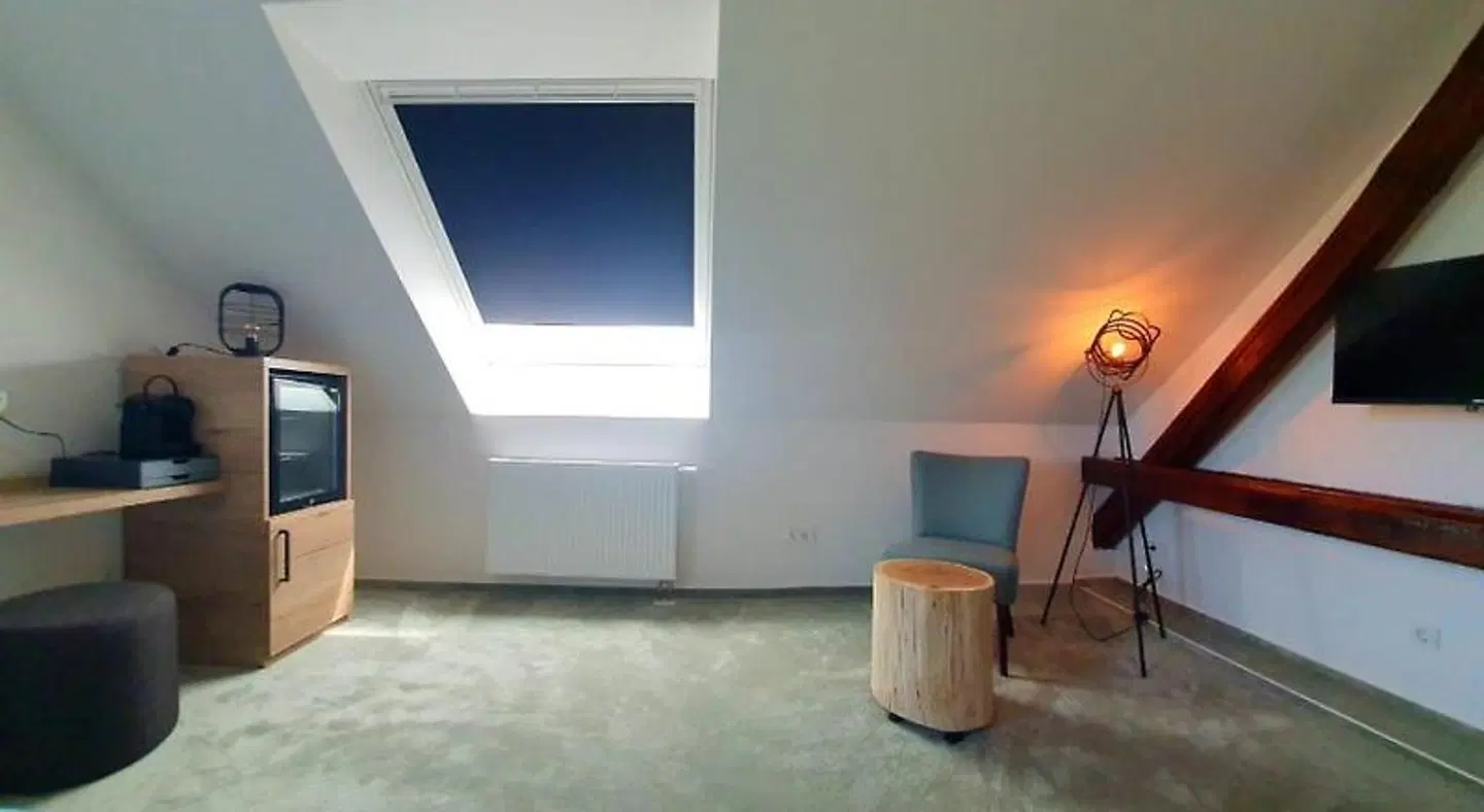 Hotel Le Filou ROOM_EXAMPLE