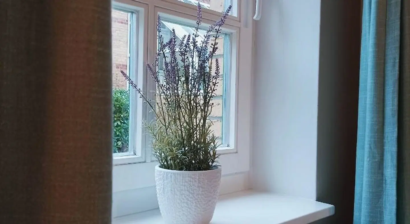 Hotel Schlösschen Sundische Wiese LOUNGE_LOBBY