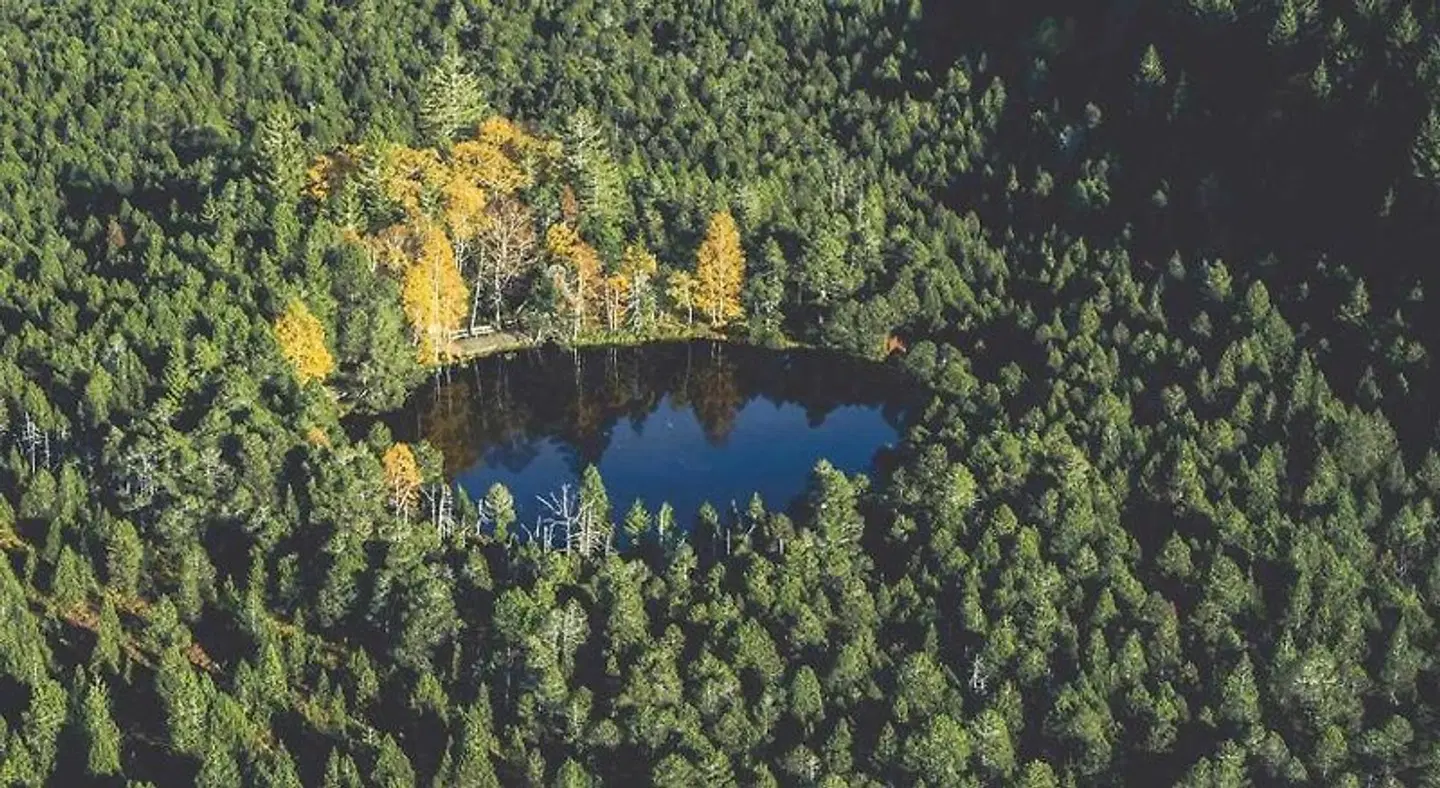 Gästehaus Ursula LANDSCAPE