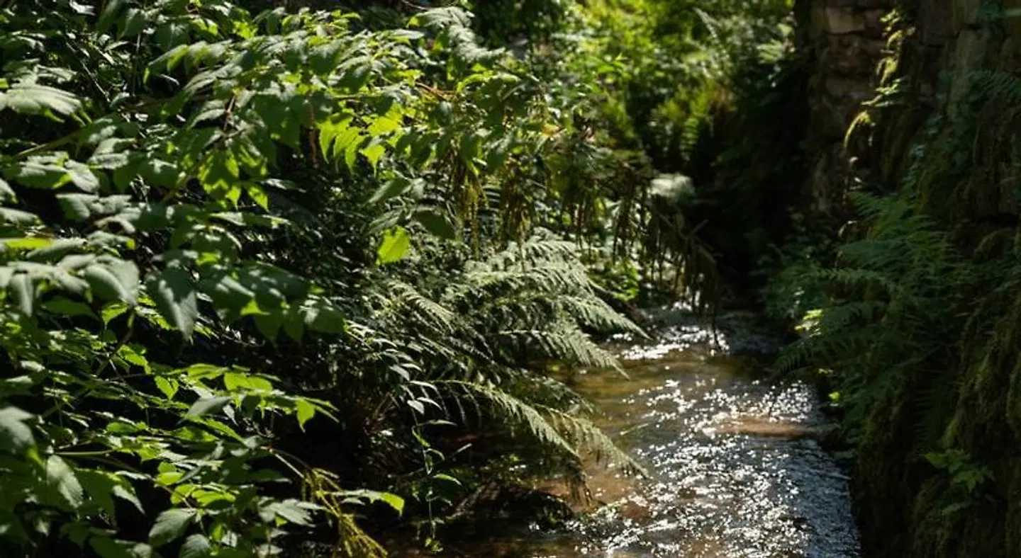 Am Mühlbach LANDSCAPE