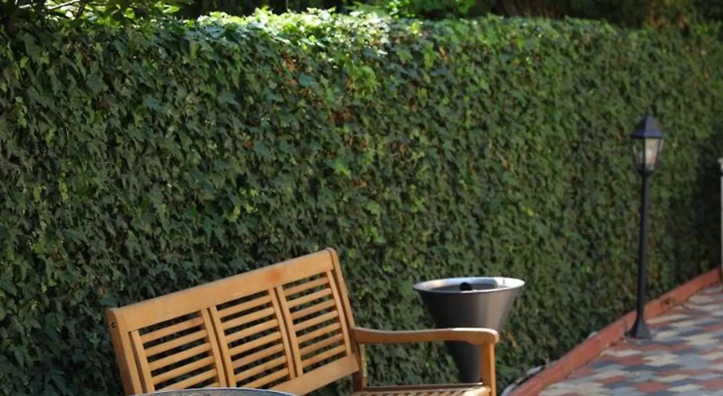 Hotel Pirol Terrasse