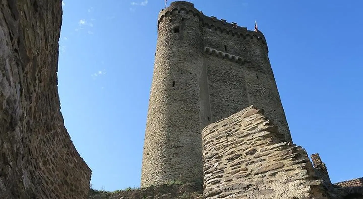 Pension "Haus am Walde" Brodenbach EXTERIOR