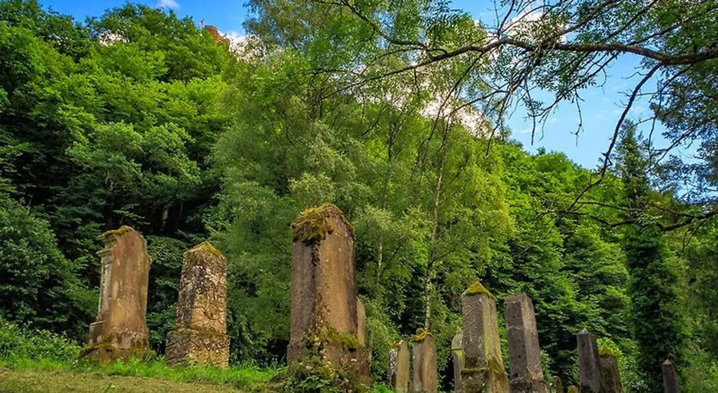 Pension "Haus am Walde" Brodenbach LANDSCAPE