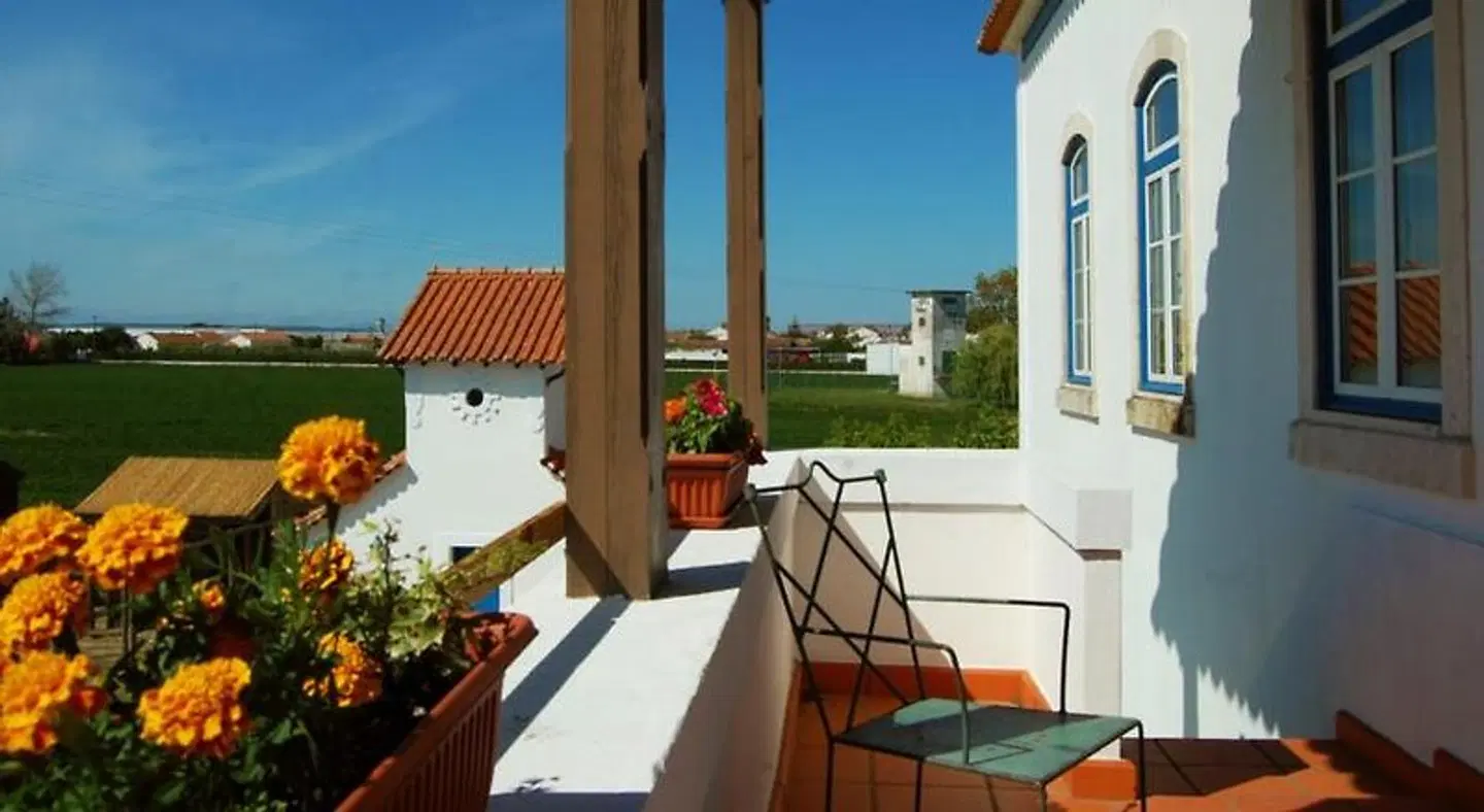 Marchanta Terrasse