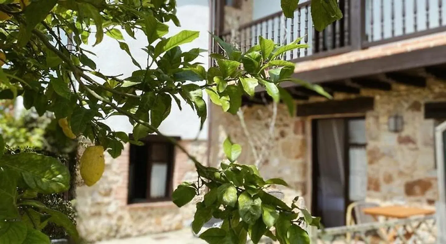 El Rincón de Escalante Terrasse