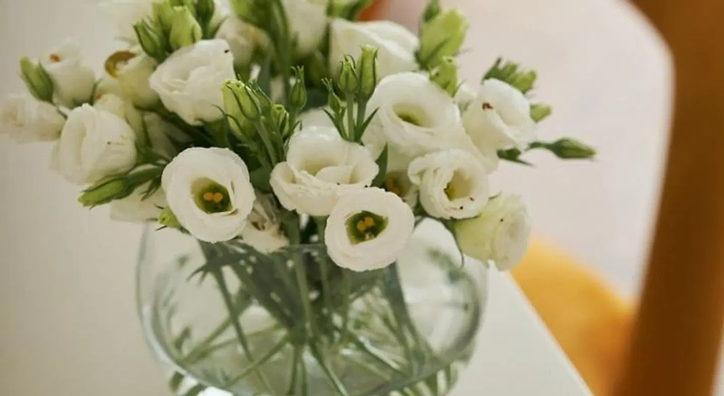 UNAHOTELS Trastevere Roma Restaurant