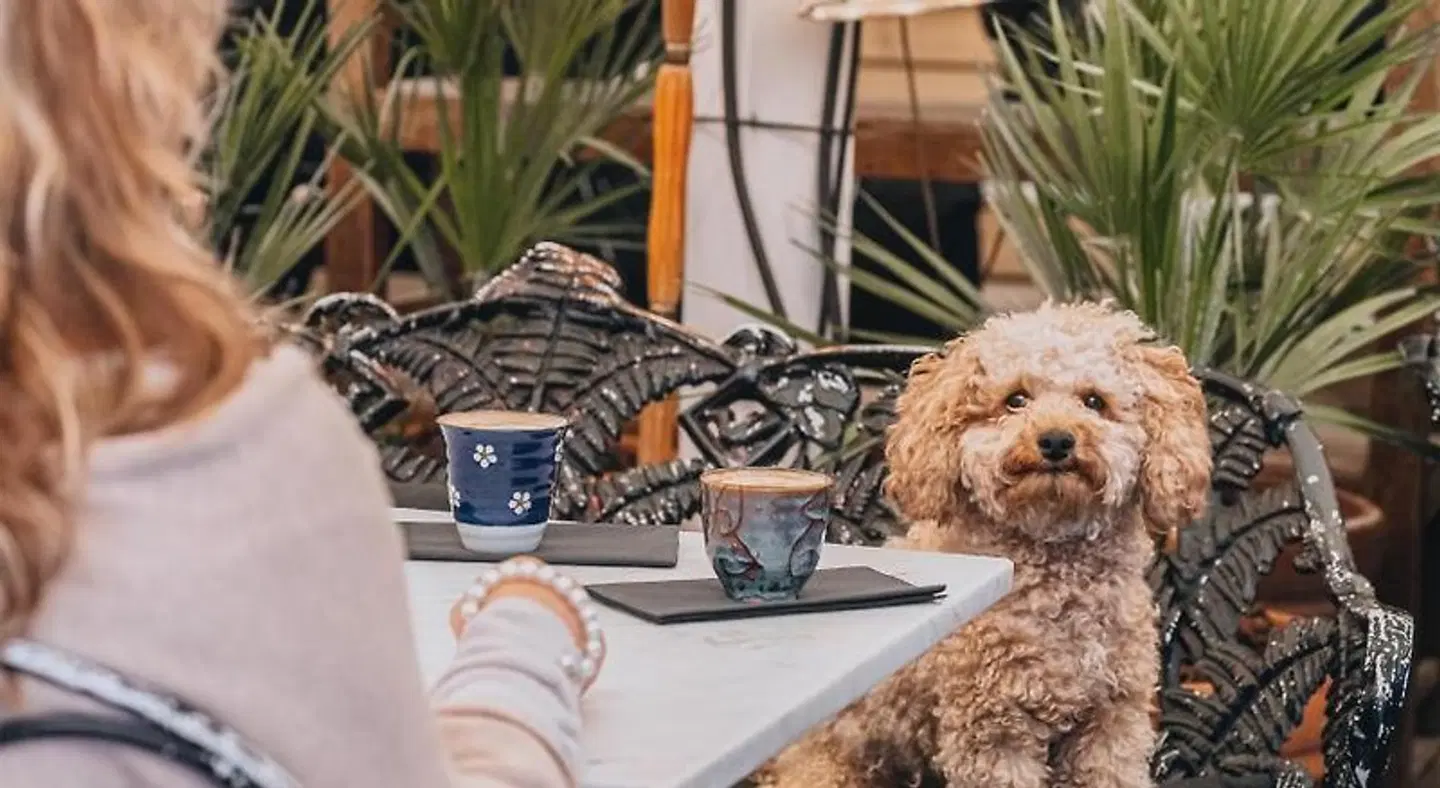 Story Hotel Tiere