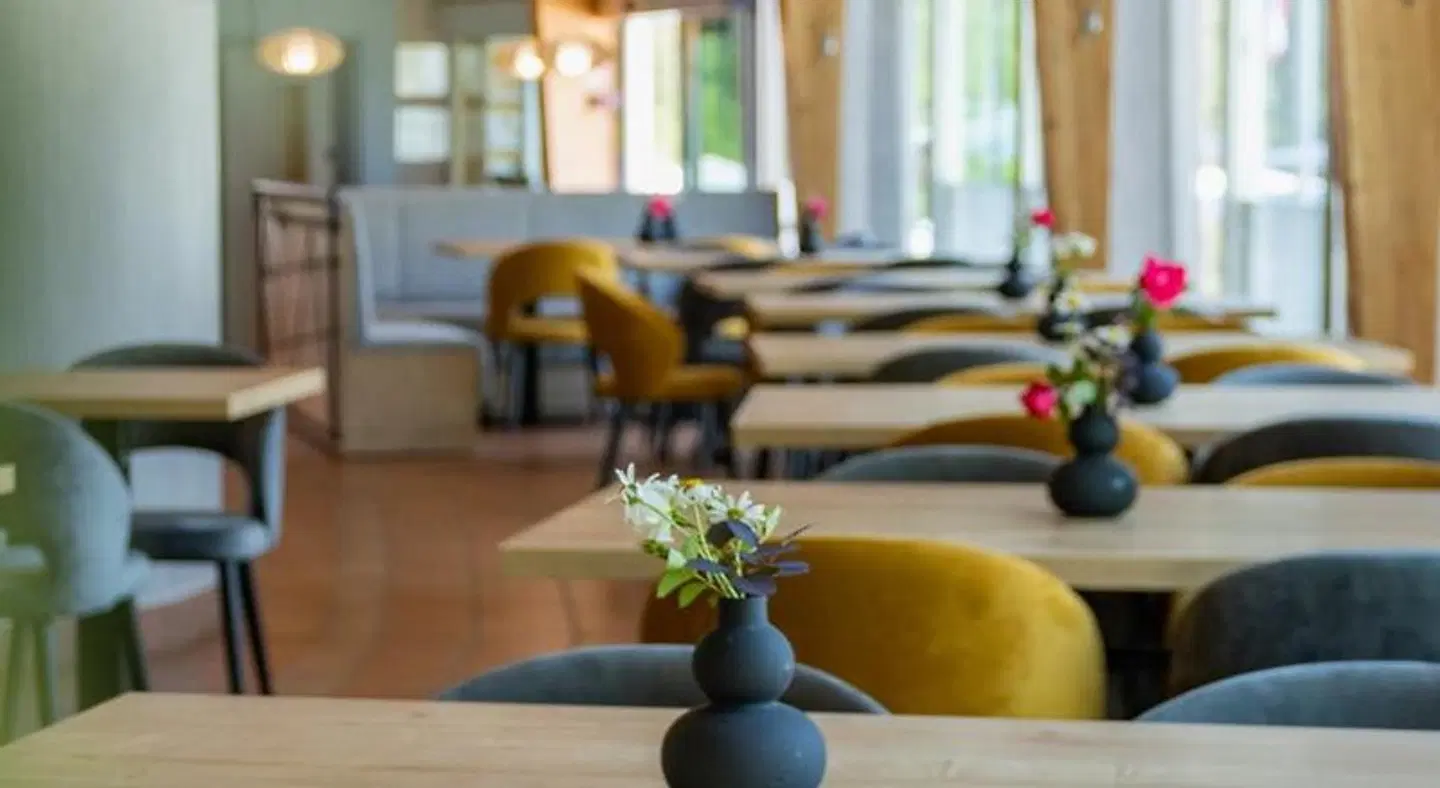 GreenLine Hotel Terme Snovik LOUNGE_LOBBY