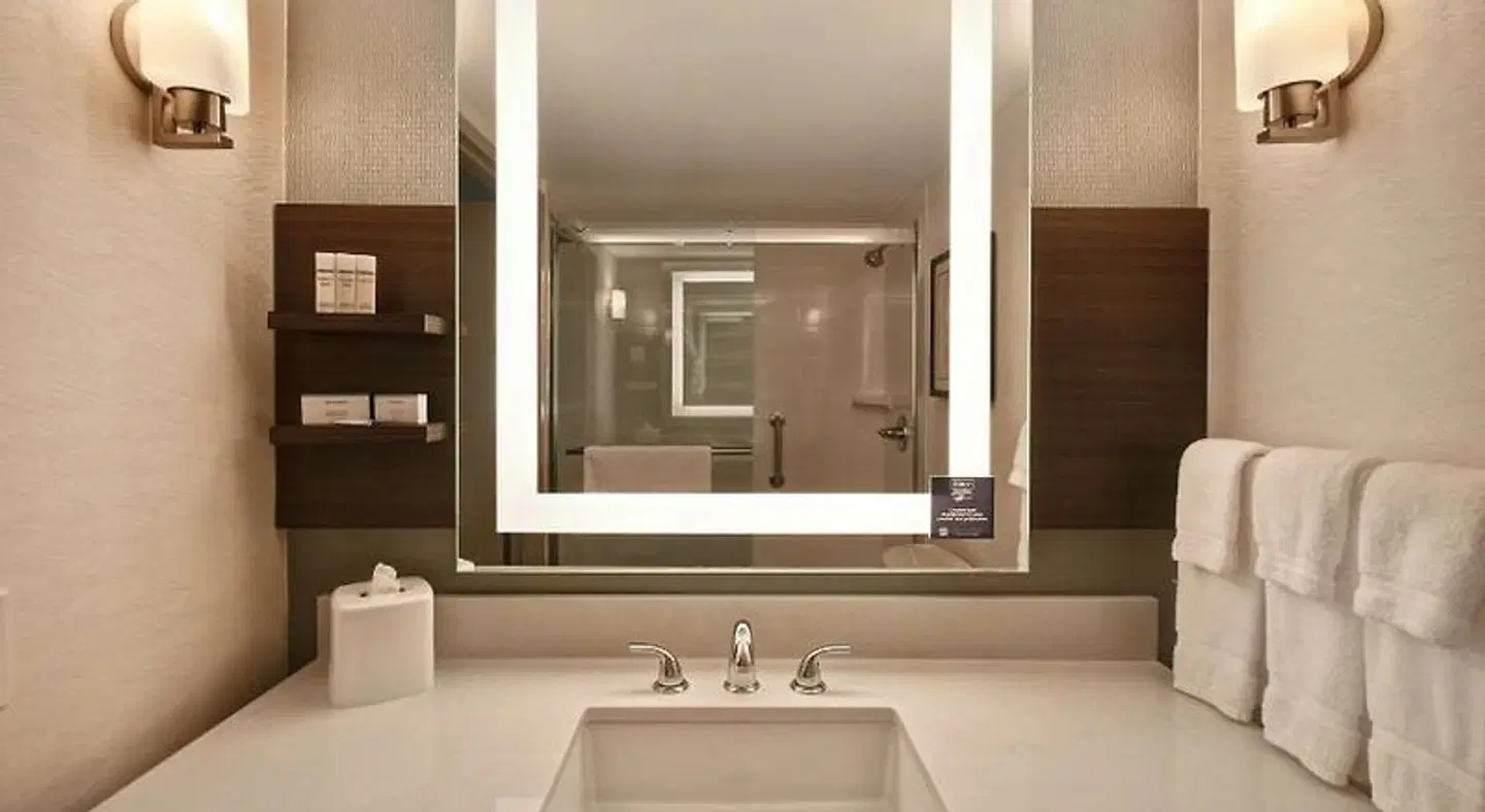 Hilton Garden Inn Detroit Metro Airport Badezimmer