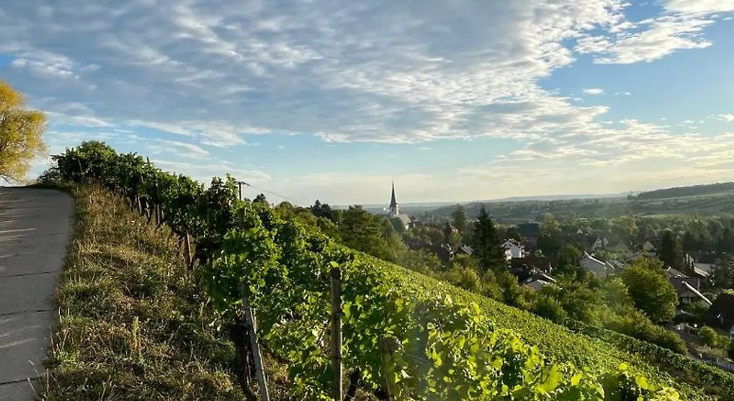 Vinotel Augustin LANDSCAPE
