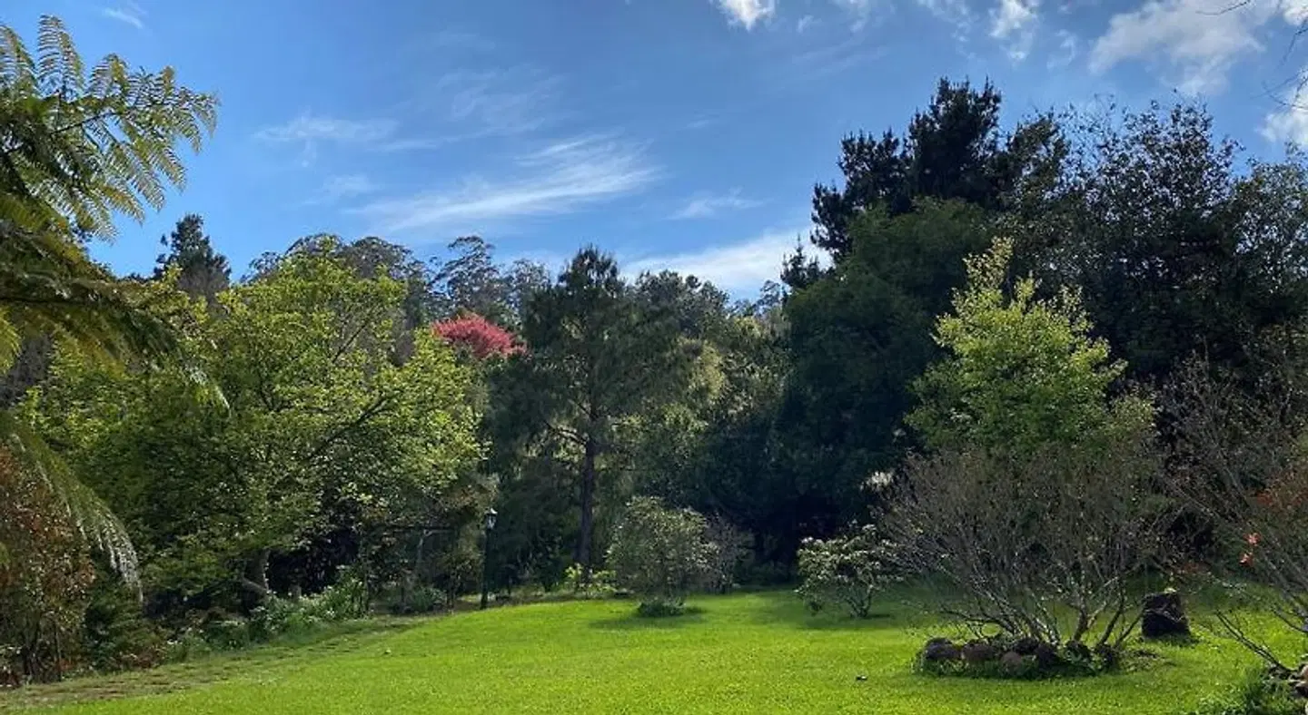 Casas Valleparaizo Garten