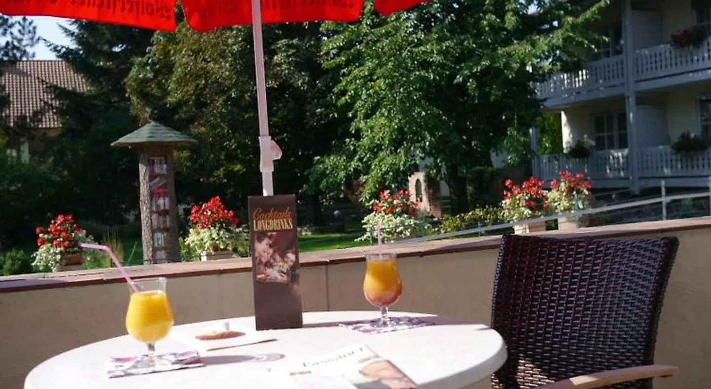 Lenauhof Terrasse