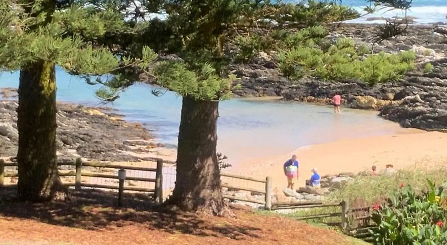 Sea Otters Lodge Strand