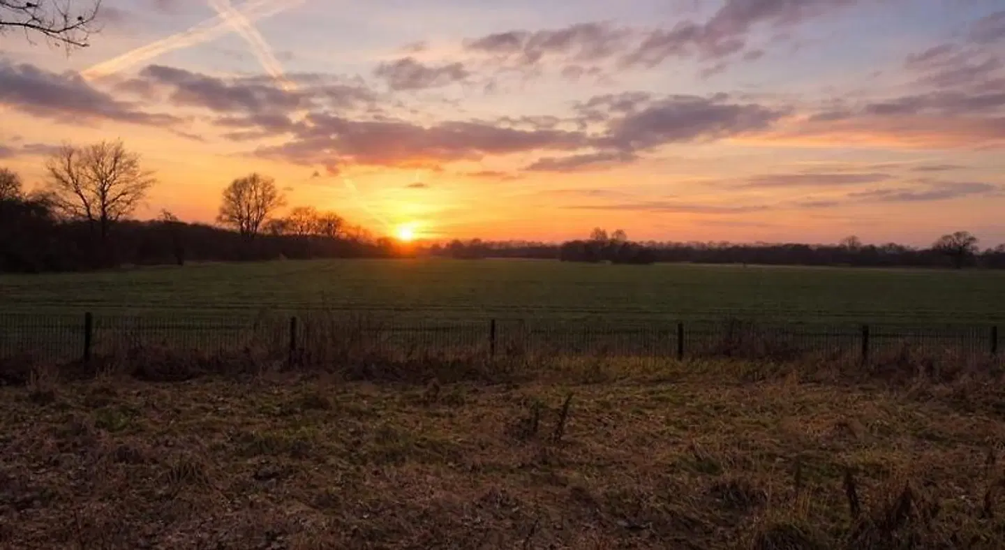 Sportpark Isernhagen LANDSCAPE