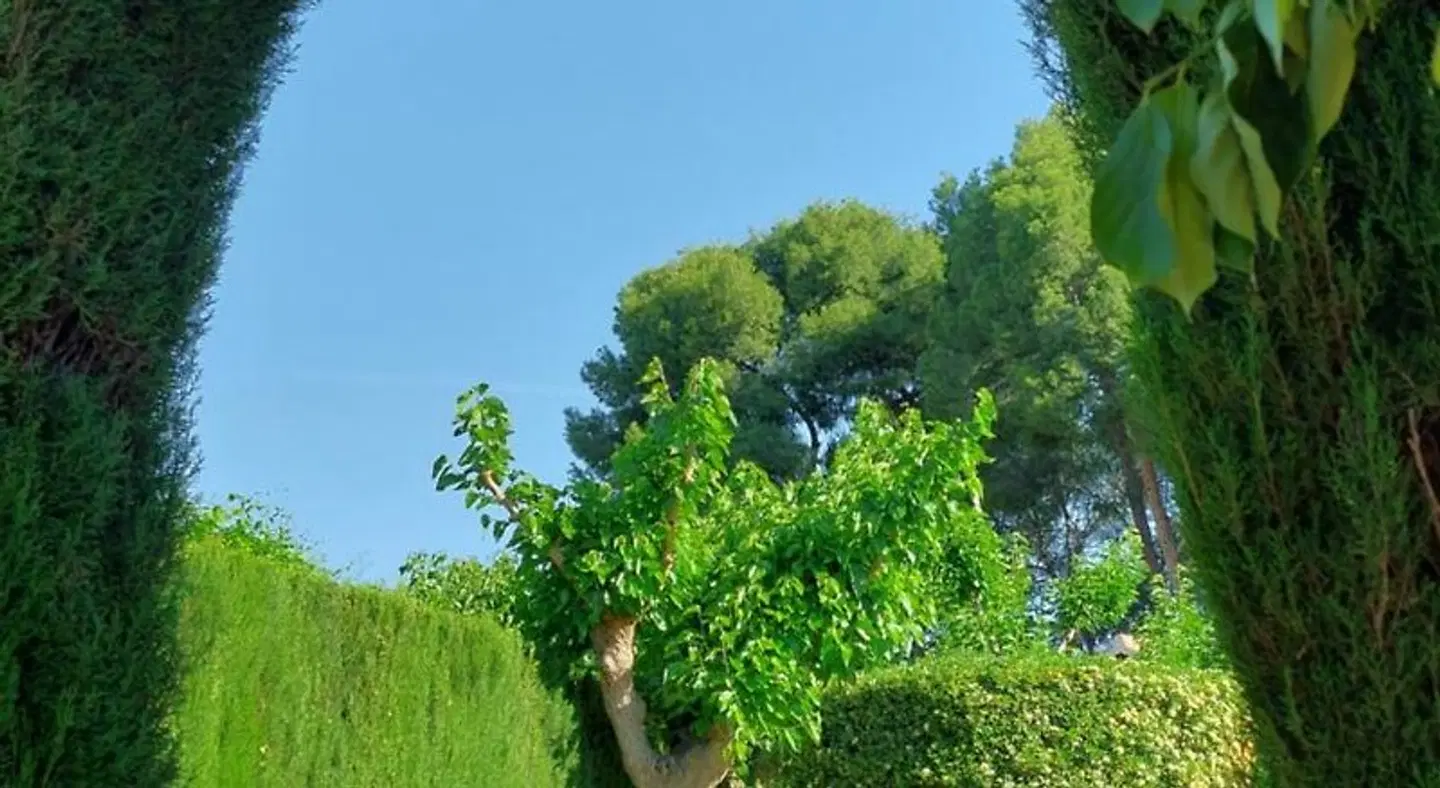Casa de La Campana LANDSCAPE