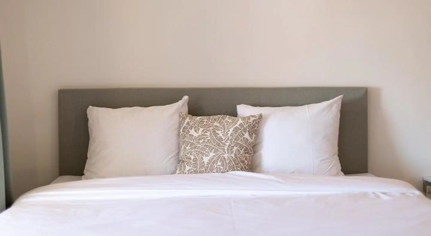 Pink Flamingo Hostel ROOM_EXAMPLE