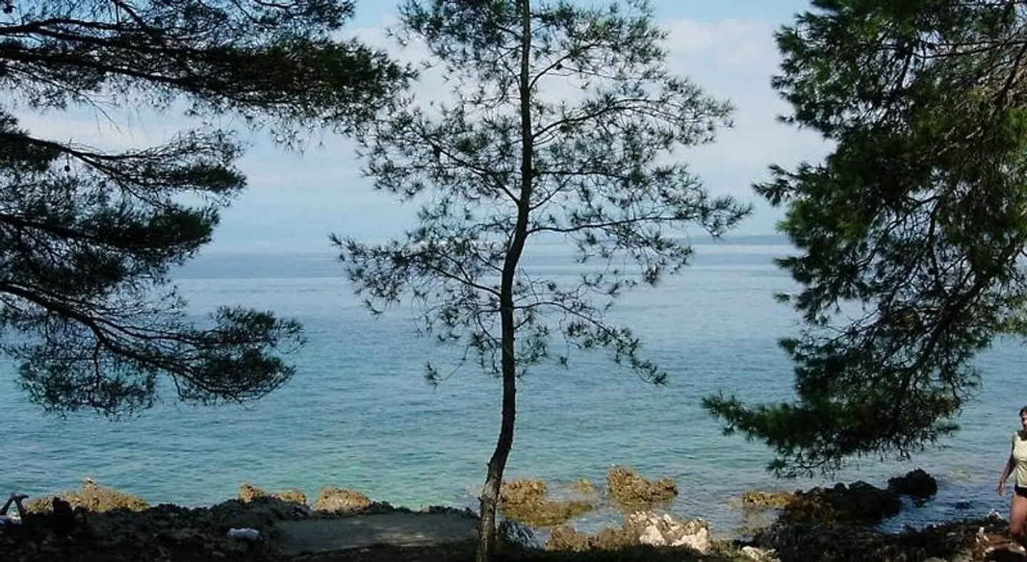 Guest House Katarina LANDSCAPE