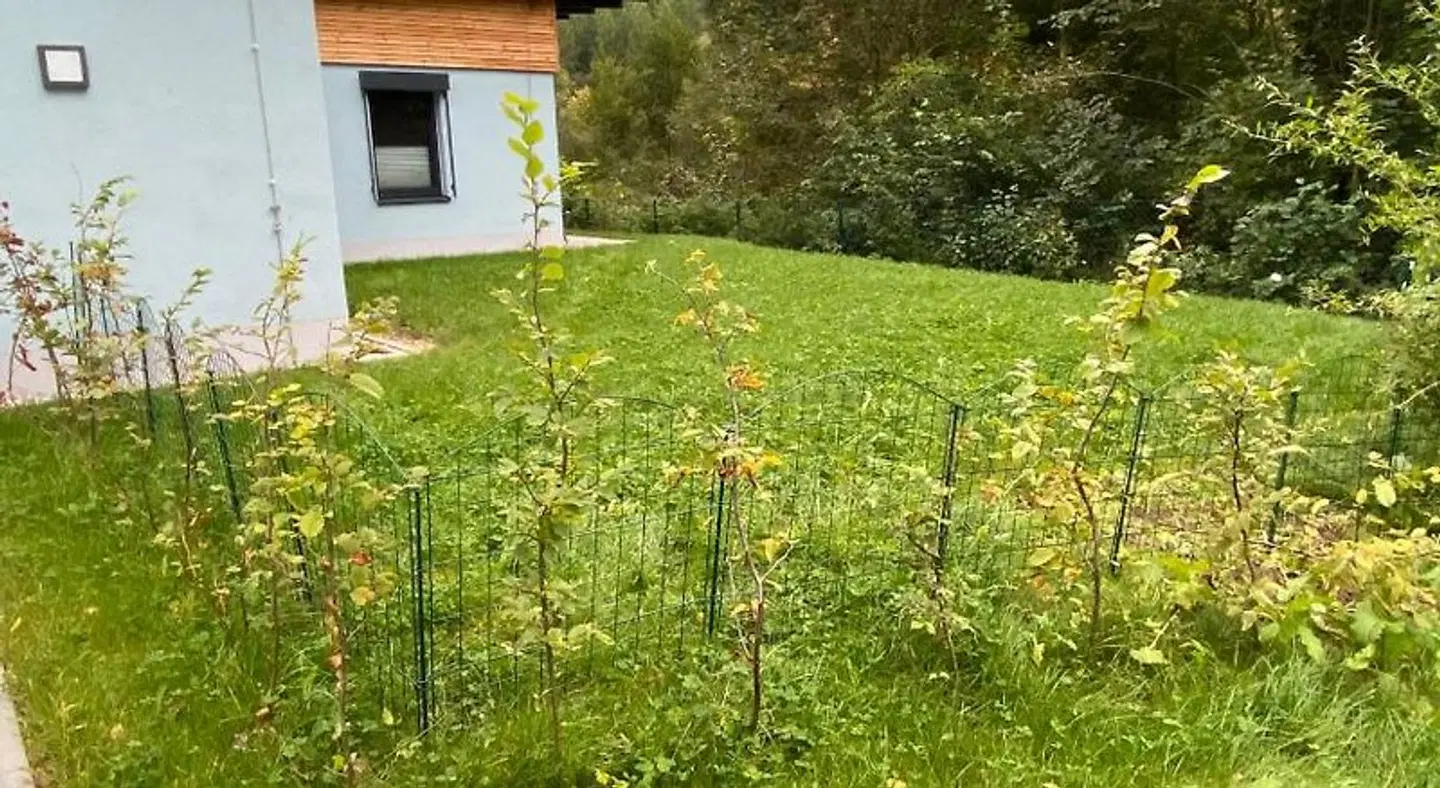 Villa Wilisch Garten