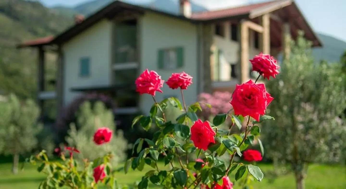 Agritur Stefenelli EXTERIOR