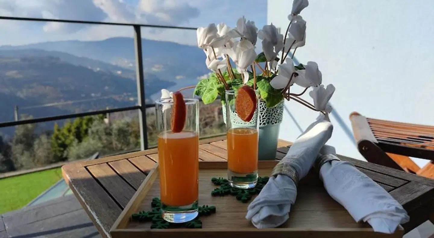 ArsDurium Douro hotel Terrasse