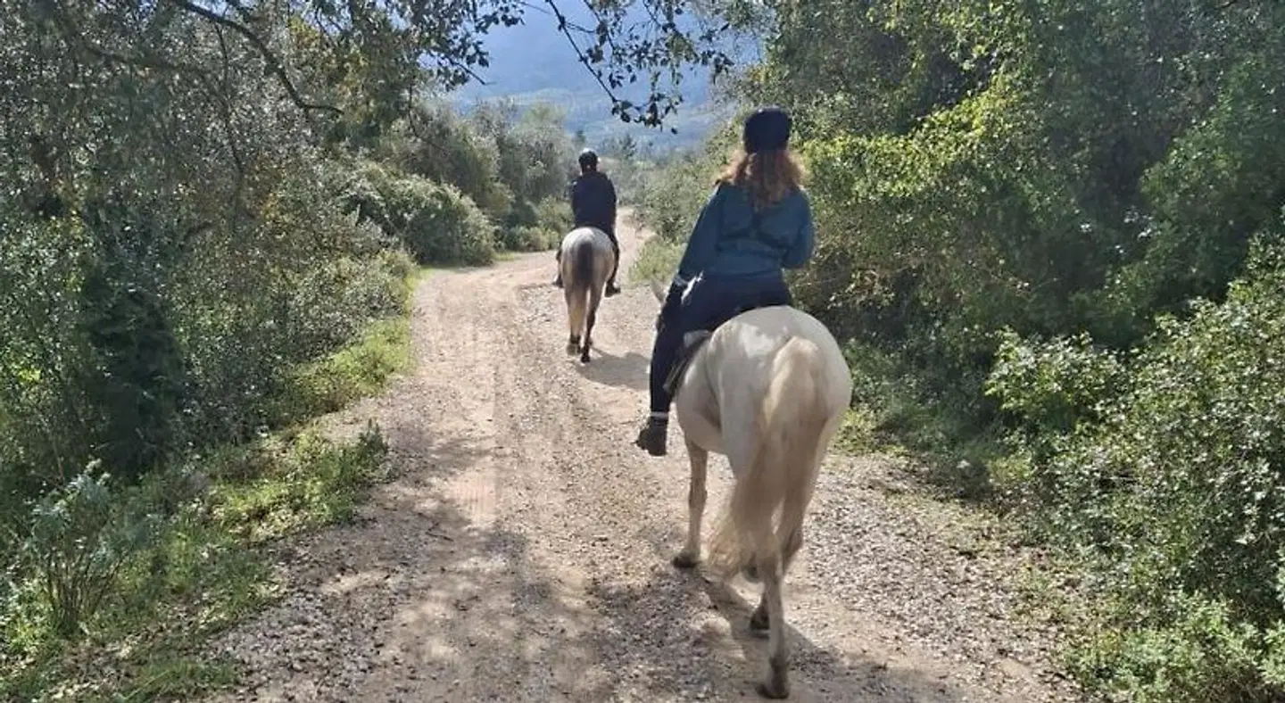 CASA BOHO - TURISMO RURAL Tiere
