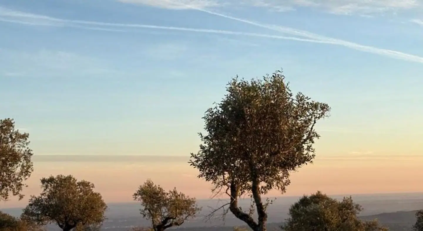 CASA BOHO - TURISMO RURAL LANDSCAPE
