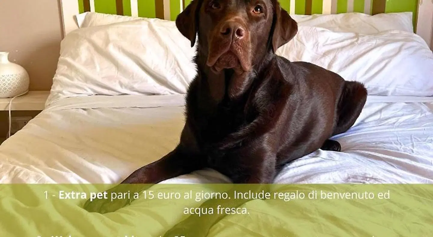 Myricae Affittacamere Tiere