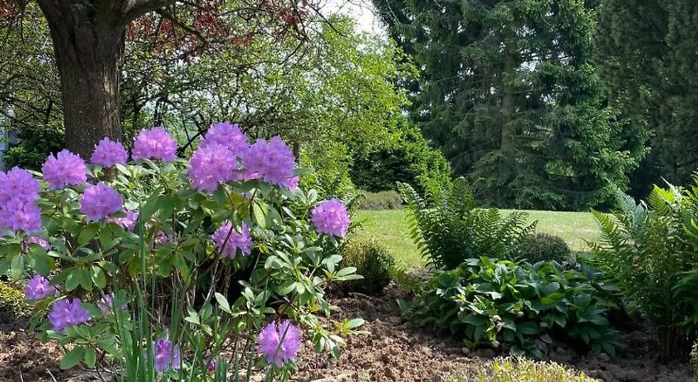 Tannenhof Garten