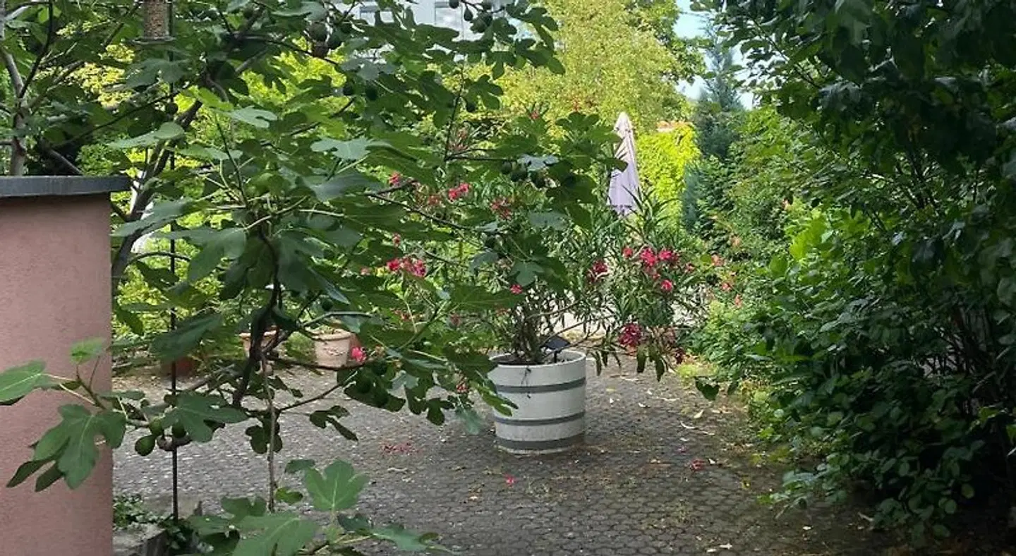 Villa zur Erholung Bed & Breakfast Garten