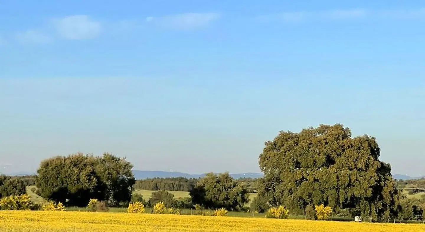 Pedra Nova - Turismo d'aldeia LANDSCAPE