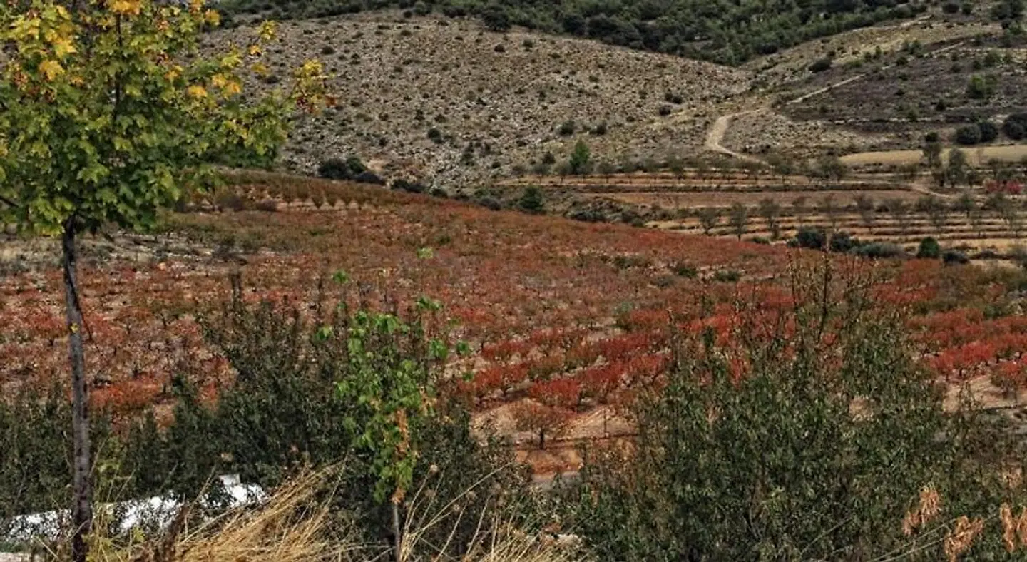 Caserío Inazares LANDSCAPE