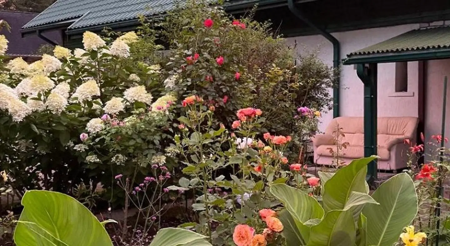 Searooms Ragaciems Garten