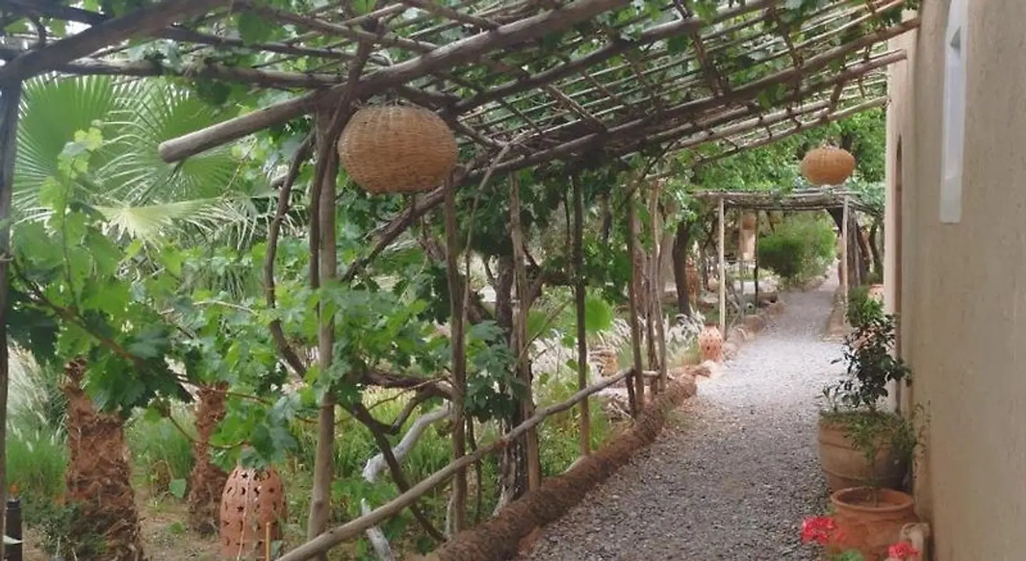 Les Jardins de Skoura Garten