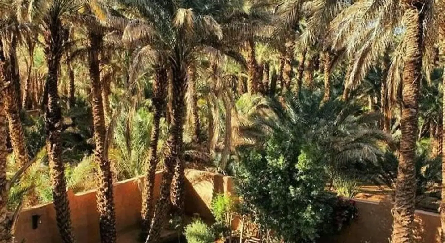 Riad Soleil du Monde LANDSCAPE
