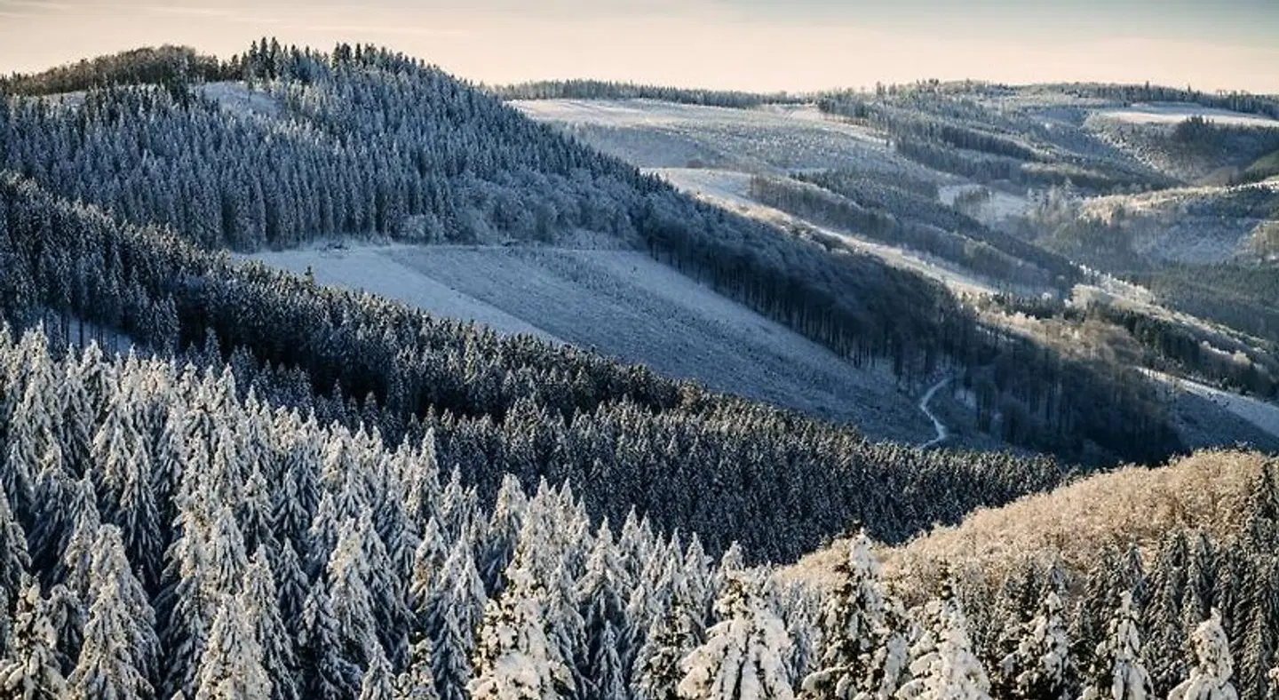 Waldhaus Ohlenbach LANDSCAPE
