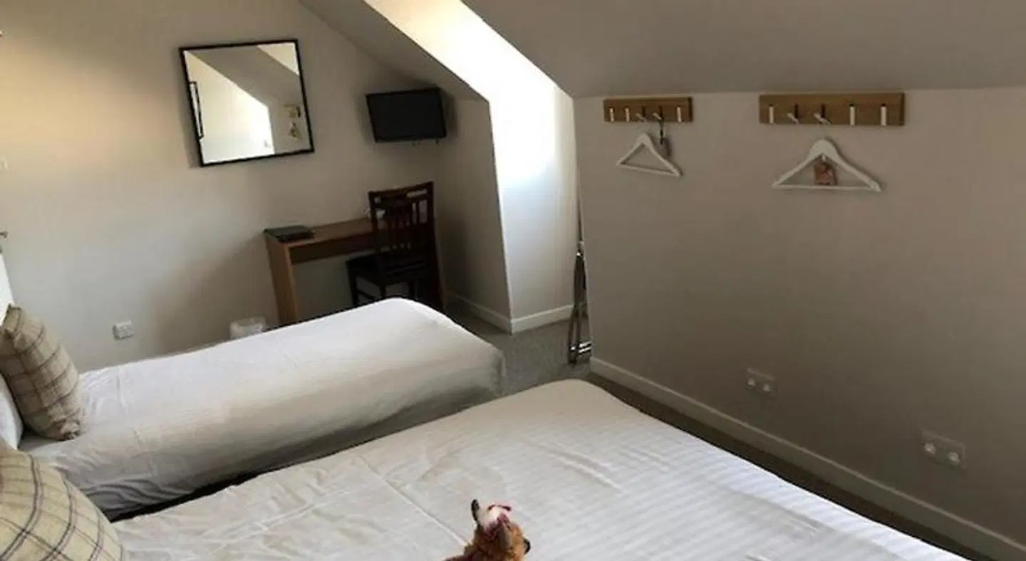 Loch Ness Guest House ROOM_EXAMPLE