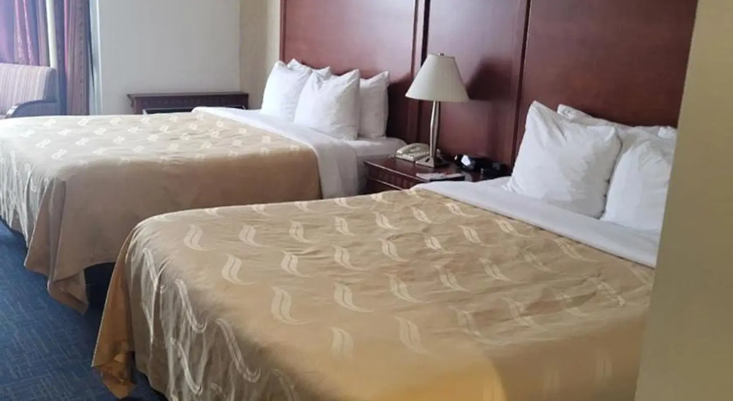 Quality Inn & Suites Bay Front ROOM_EXAMPLE