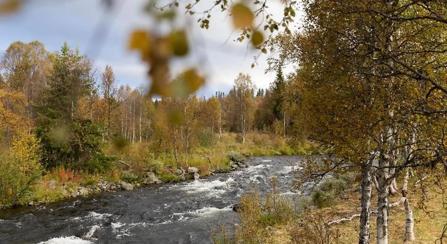 Storsätra Fjällhotell LANDSCAPE