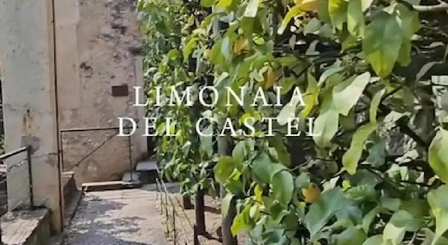 Hotel Coste Tiere