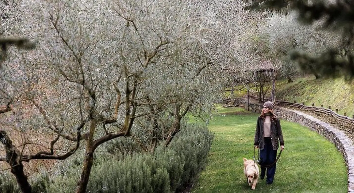 La Pensione di Vignamaggio Tiere