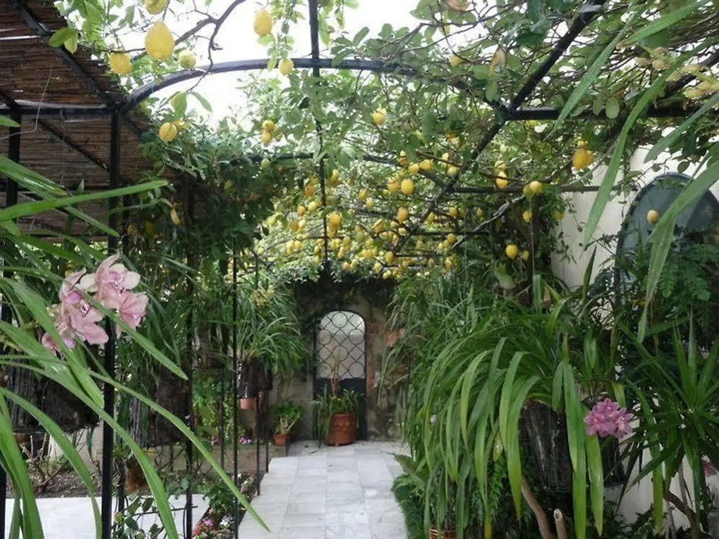 Villa Magia Garten