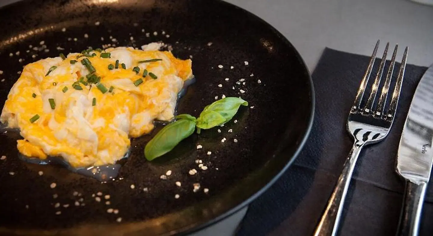 The Loft Hotel Adults Only Restaurant