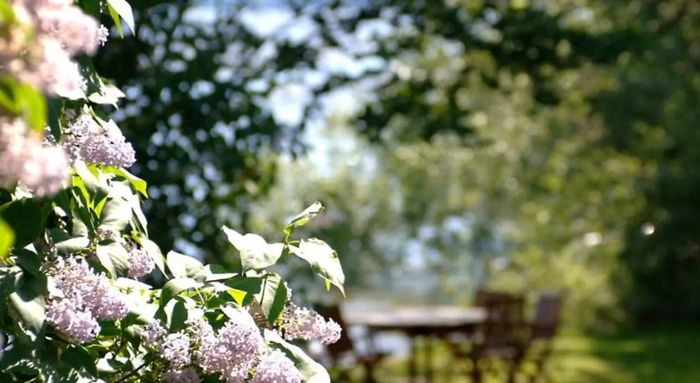 Steningevik LANDSCAPE