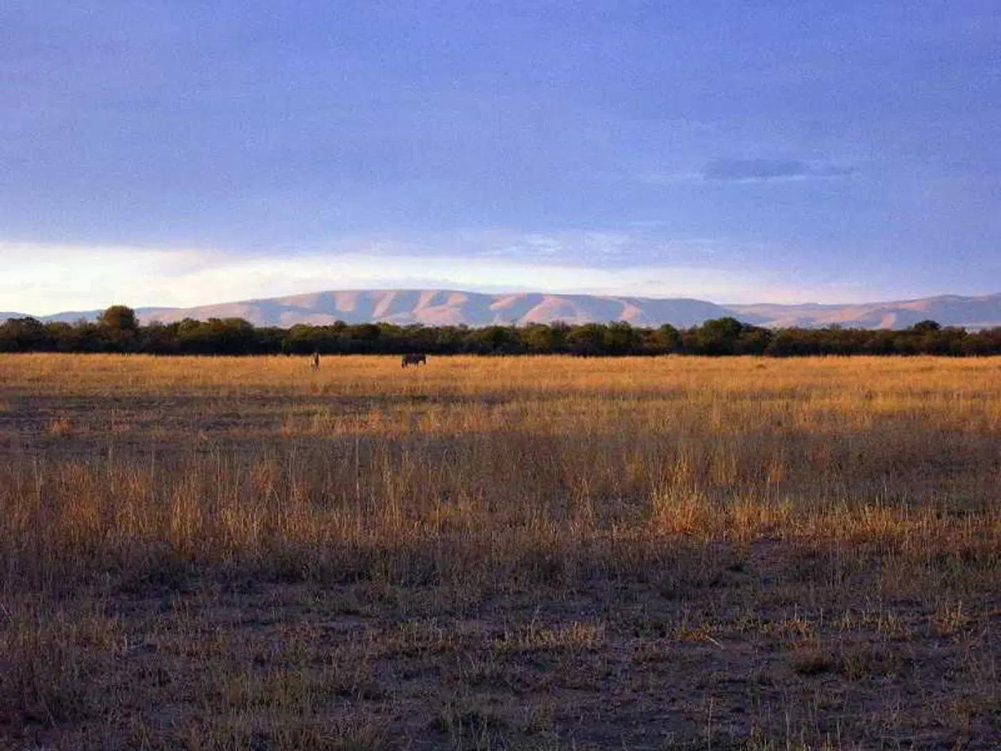 Ditholo Game Lodge LANDSCAPE
